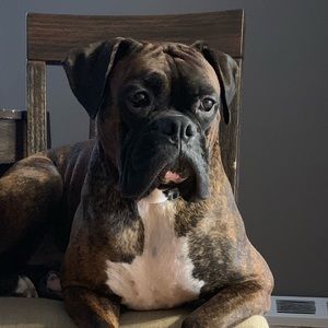 Meet your Posher, Sheena